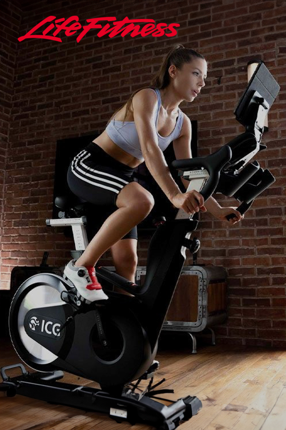 ライフ・フィットネス